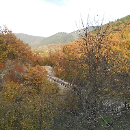 Cerova Kosa * Mokra Gora