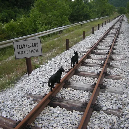 Cerova Kosa Mokra Gora