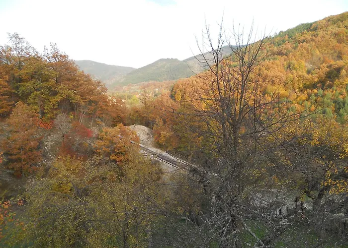 Cerova Kosa * モクラ・ゴラ