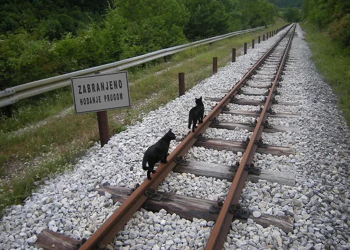 Cerova Kosa モクラ・ゴラ